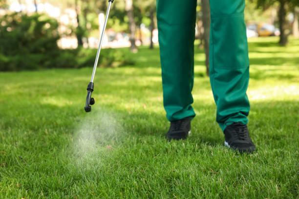 Best Flea Control Services  in Linden, CA