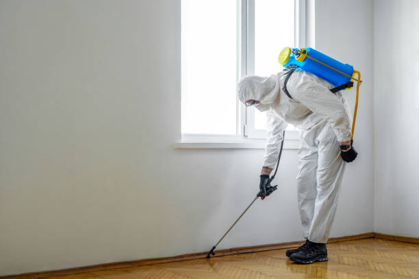 Best Affordable Pest Control Services  in Linden, CA