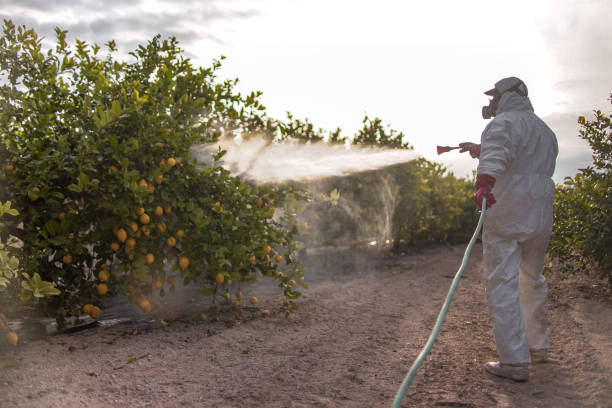 Best Cockroach Control Services  in Linden, CA